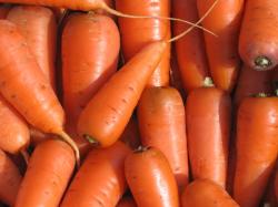 Морковь, стерилизованная в сладкокислой заливке