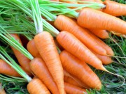Морковь квашеная